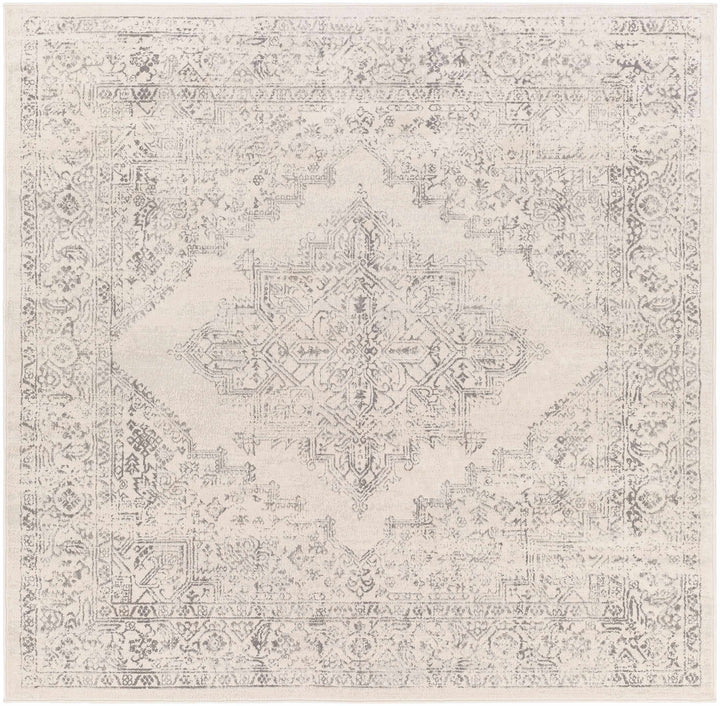 Tamarama Traditional Style Ivory And Gray Area Rug