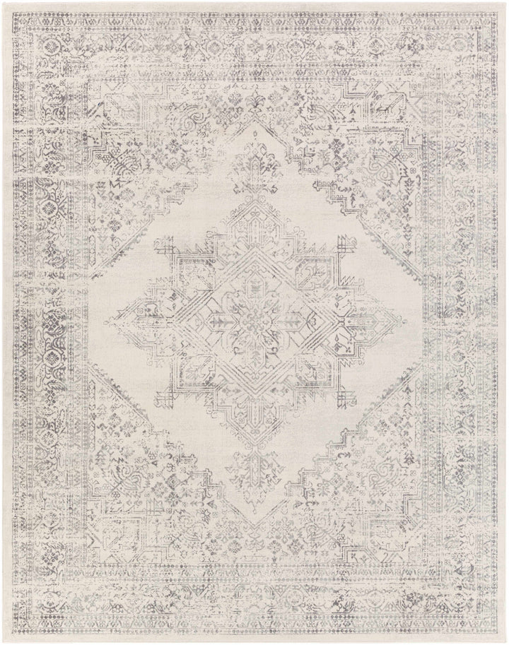 Tamarama Traditional Style Ivory And Gray Area Rug