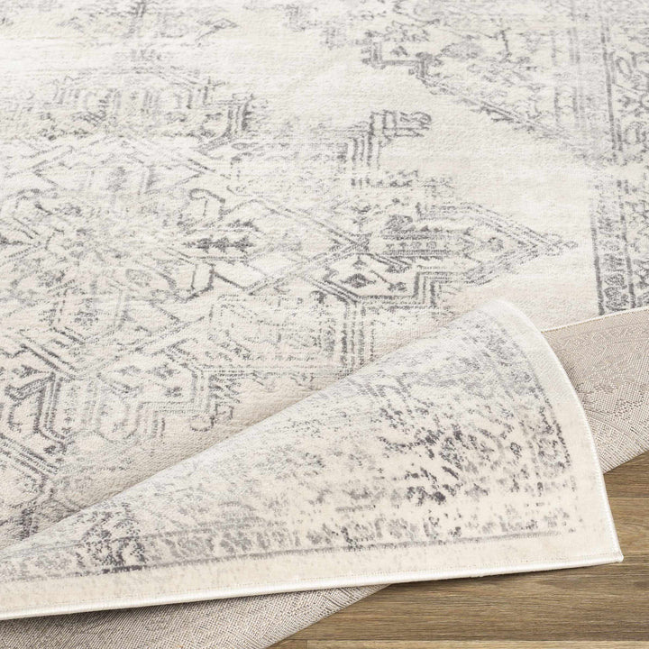 Tamarama Traditional Style Ivory And Gray Area Rug