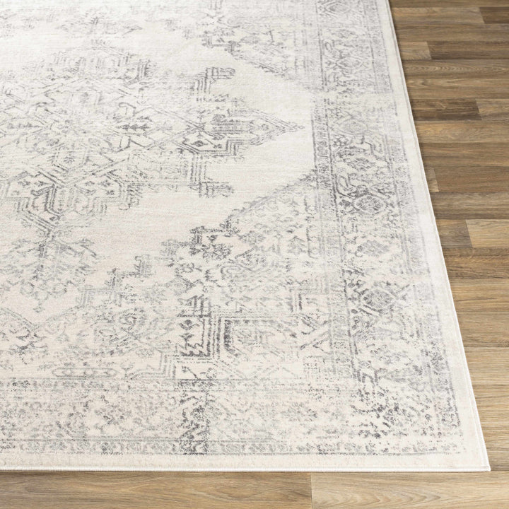 Tamarama Traditional Style Ivory And Gray Area Rug