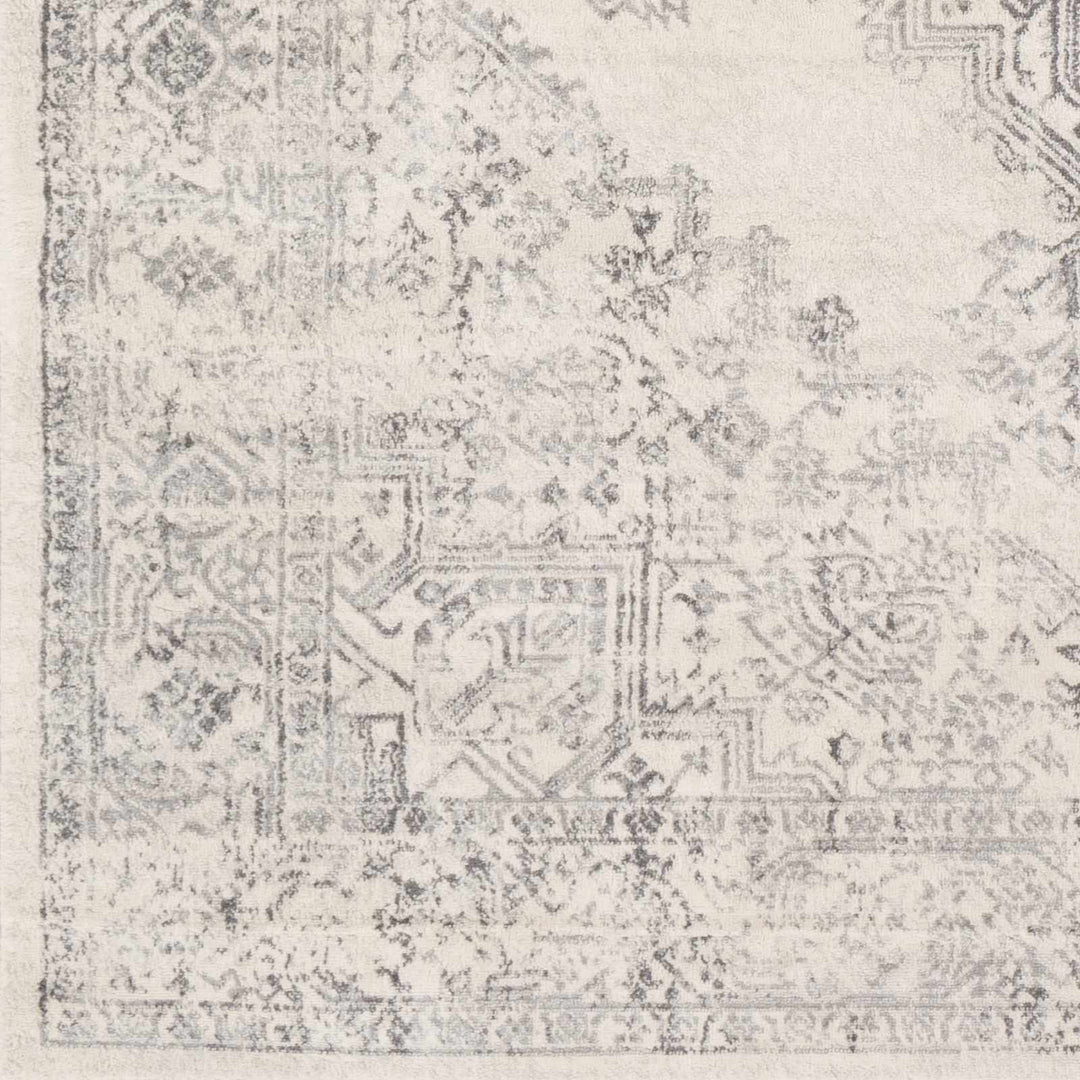 Tamarama Traditional Style Ivory And Gray Area Rug