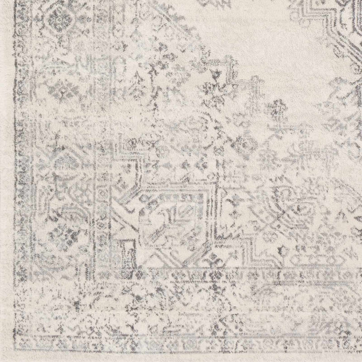 Tamarama Traditional Style Ivory And Gray Area Rug