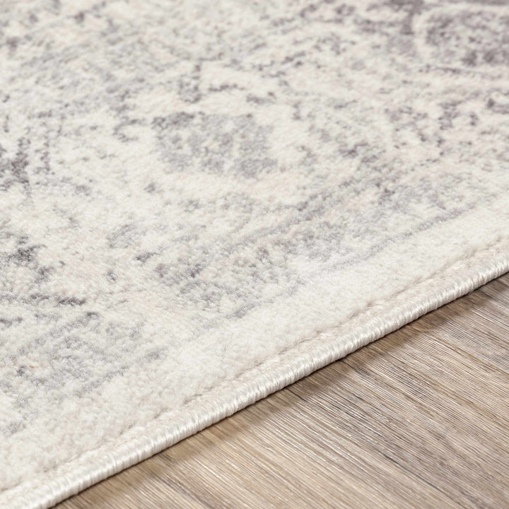 Tamarama Traditional Style Ivory And Gray Area Rug