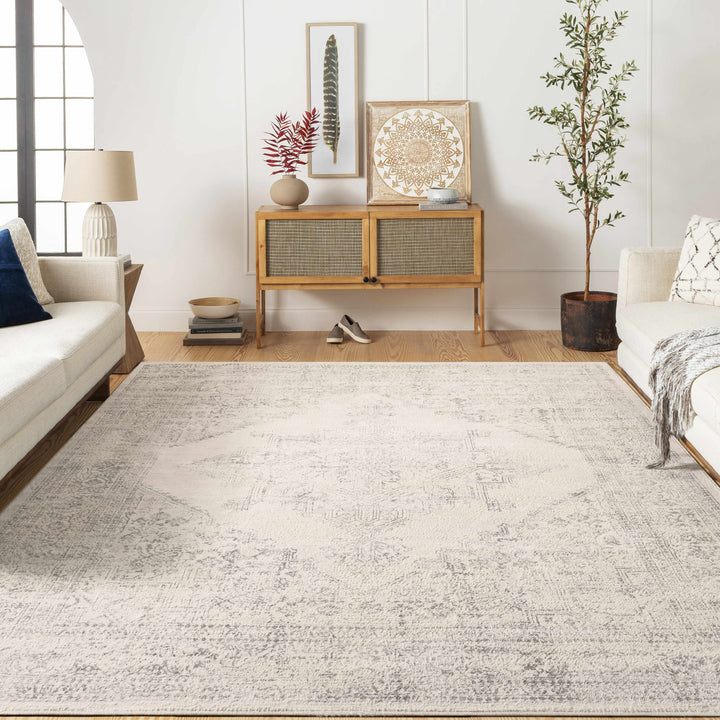 Tamarama Traditional Style Ivory And Gray Area Rug