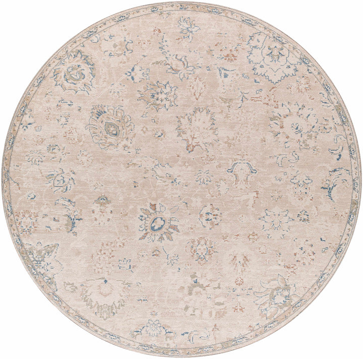 Tinampo Traditional Oushak Beige Rug
