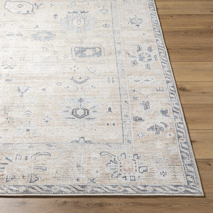 Toddy Traditional Style Beige And Blue Area Rug - The Rug Decor