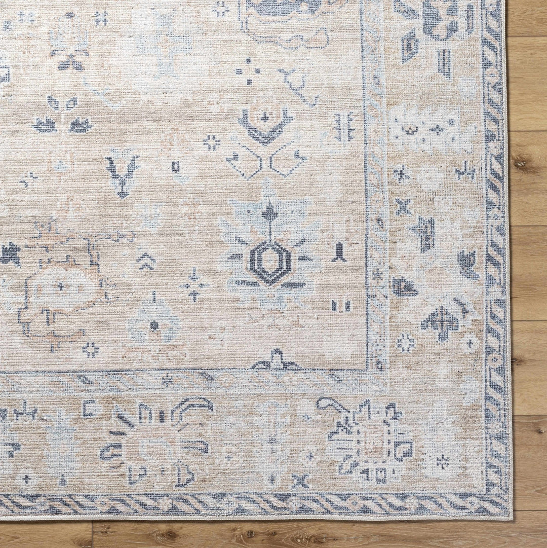 Toddy Traditional Style Beige And Blue Area Rug - The Rug Decor