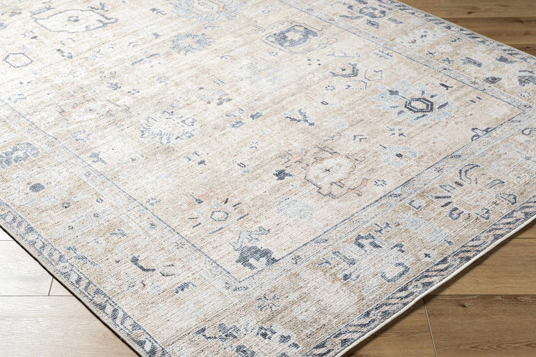 Toddy Traditional Style Beige And Blue Area Rug - The Rug Decor