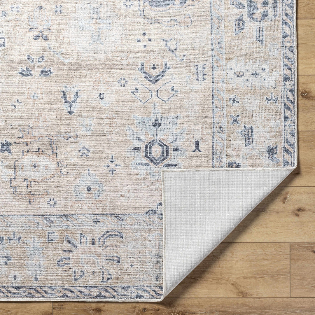 Toddy Traditional Style Beige And Blue Area Rug - The Rug Decor