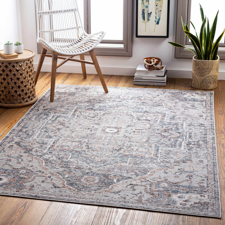 Tongala Traditional Style Gray And Charcoal Outdoor Area Rug - The Rug Decor