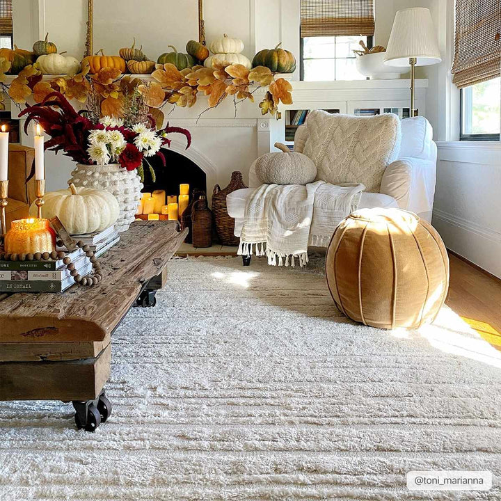 Ibarra Modern Style Ivory Area Rug