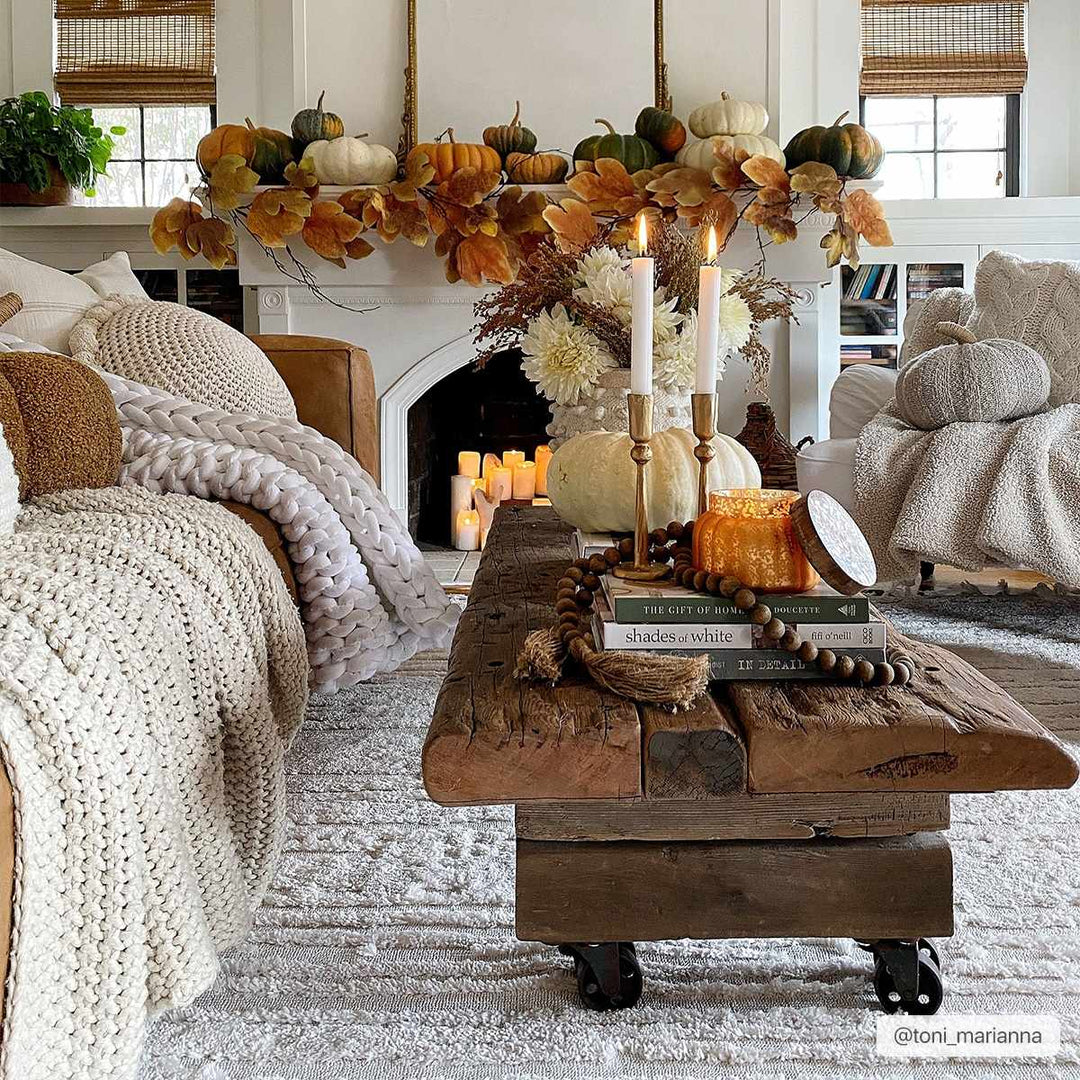 Ibarra Modern Style Ivory Area Rug