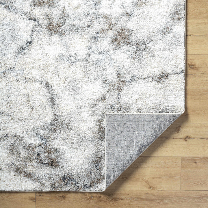 Titan Modern Style Silver And Gray Area Rug