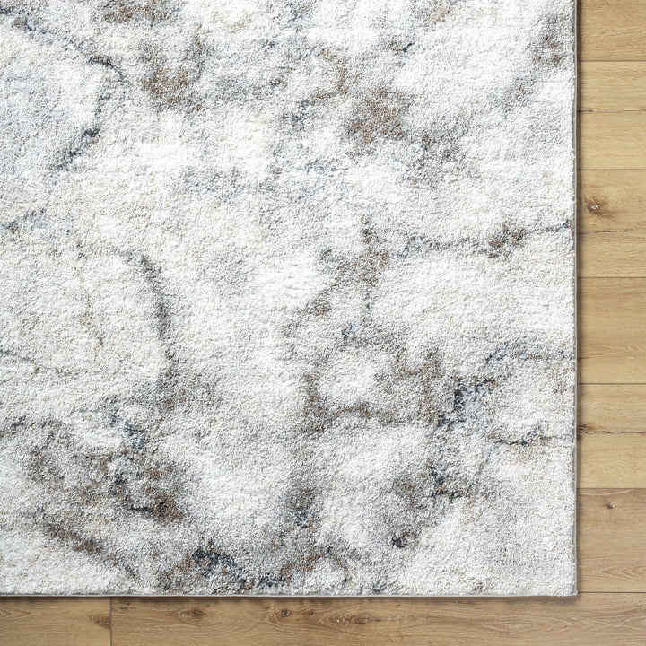 Titan Modern Style Silver And Gray Area Rug