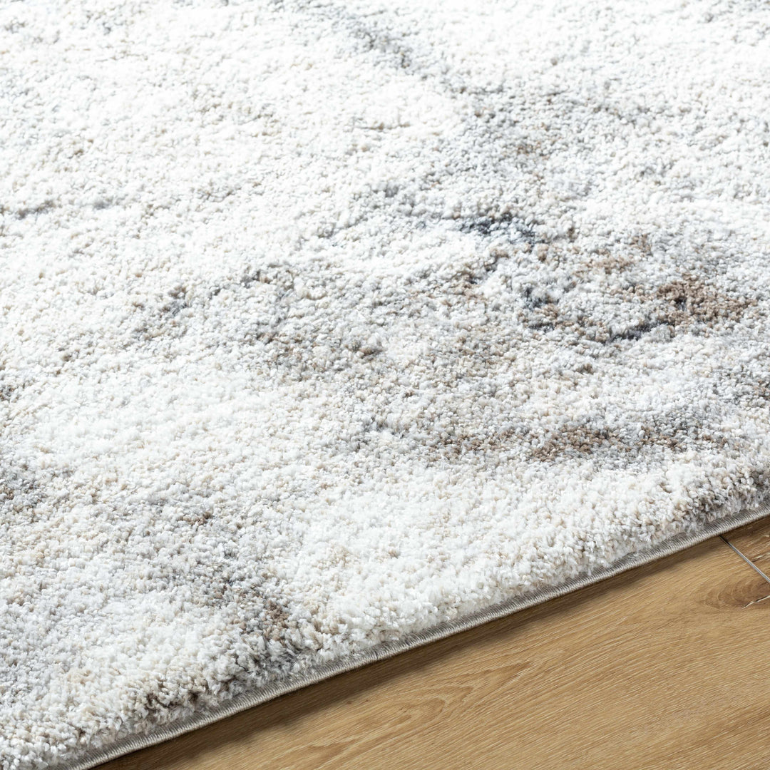 Titan Modern Style Silver And Gray Area Rug