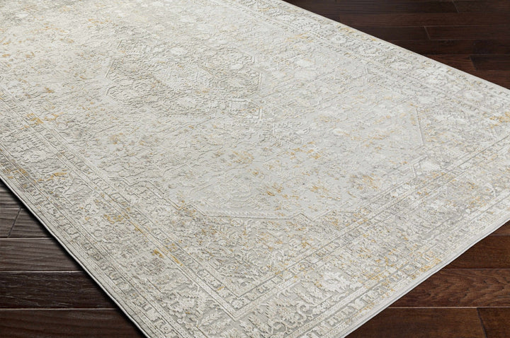 Traditional Beige Machine Woven Area Rug - The Rug Decor