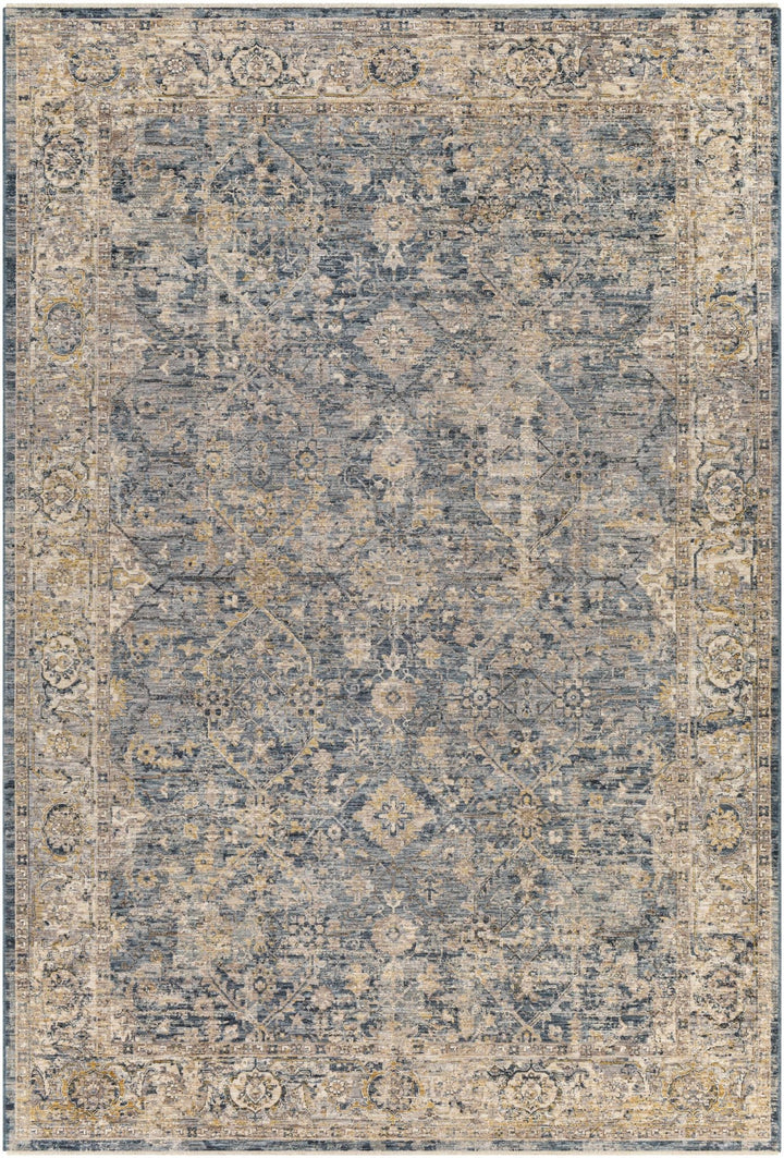 Traditional Blue And Beige Machine Woven Outdoor Area Rug - The Rug Decor
