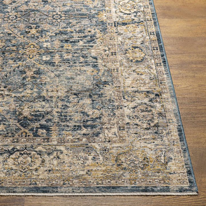 Traditional Blue And Beige Machine Woven Outdoor Area Rug - The Rug Decor