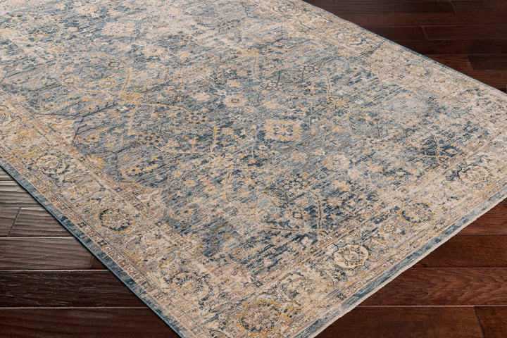 Traditional Blue And Beige Machine Woven Outdoor Area Rug - The Rug Decor