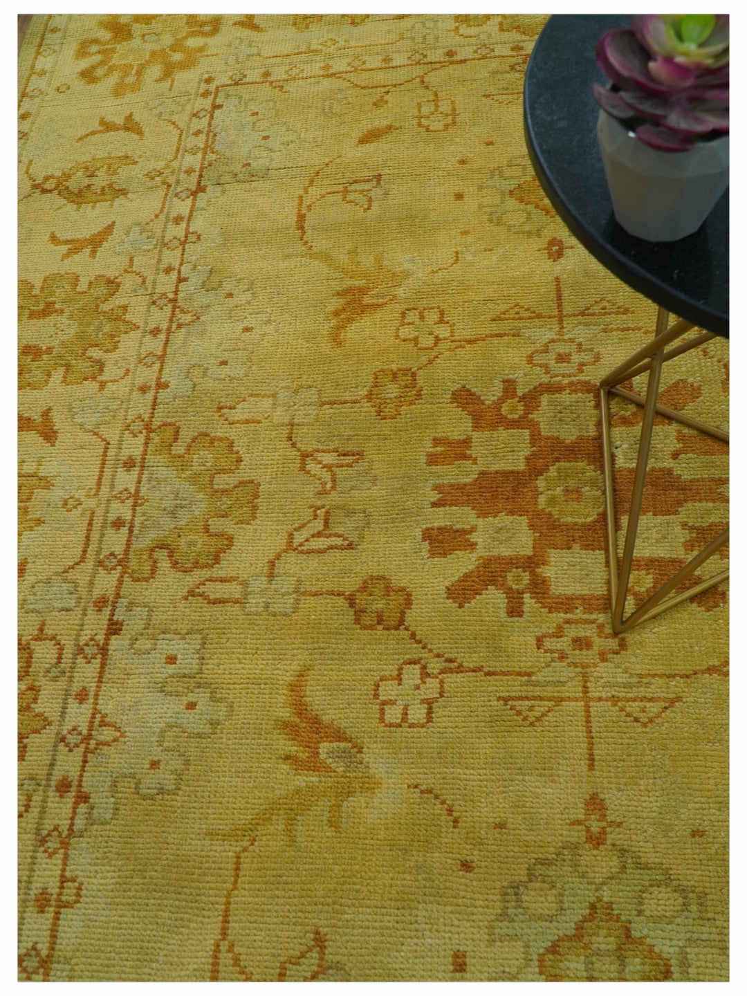 Traditional Design Antique beige and rust 8x10 Hand Knotted Wool Area Rug - The Rug Decor