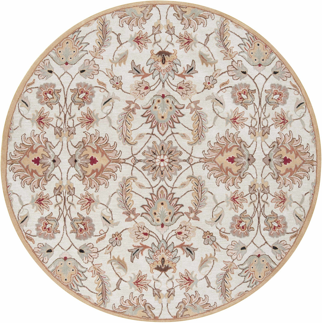 Traditional Floral Tan And Off White Hand Tufted Wool Area Rug - The Rug Decor