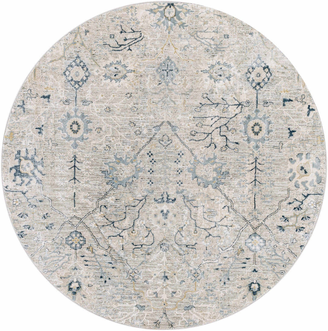 Traditional Gray And Beige Oushak Machine Woven Rug - The Rug Decor