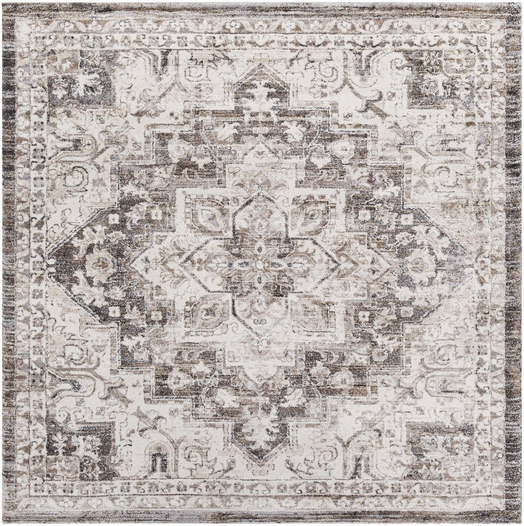 Traditional Gray And Beige Rug - The Rug Decor