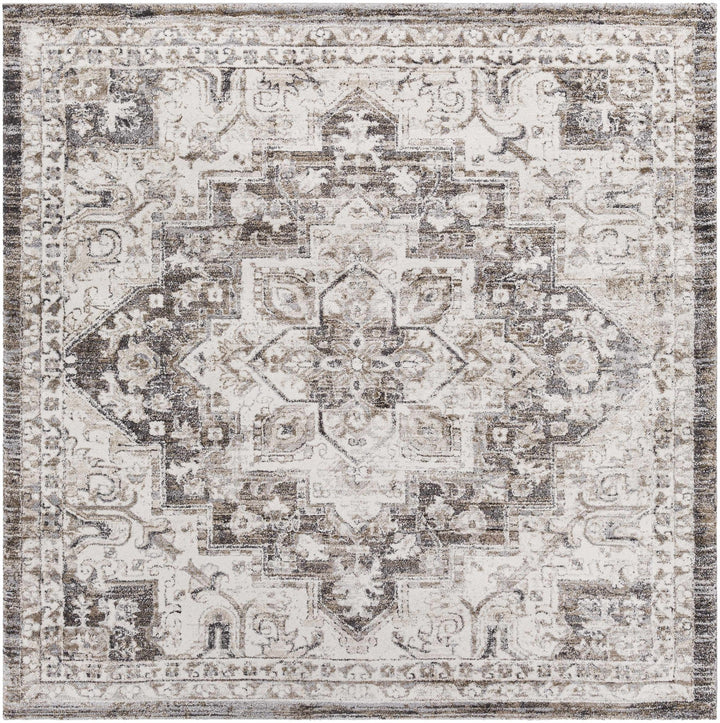Traditional Gray And Beige Rug - The Rug Decor