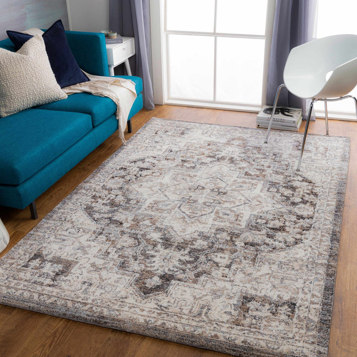 Traditional Gray And Beige Rug - The Rug Decor