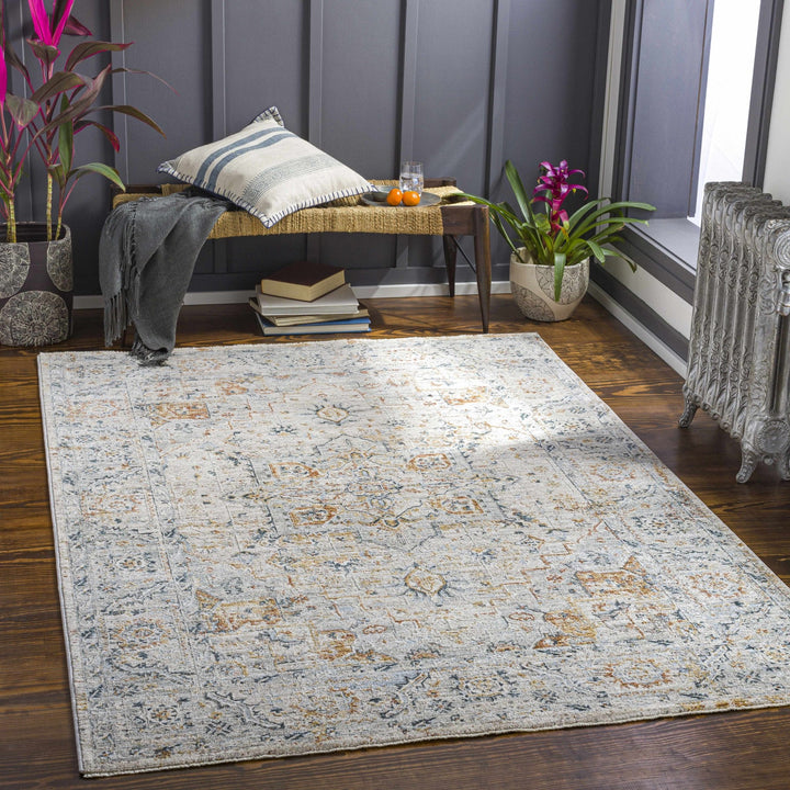 Traditional Gray And Beige Rug - The Rug Decor