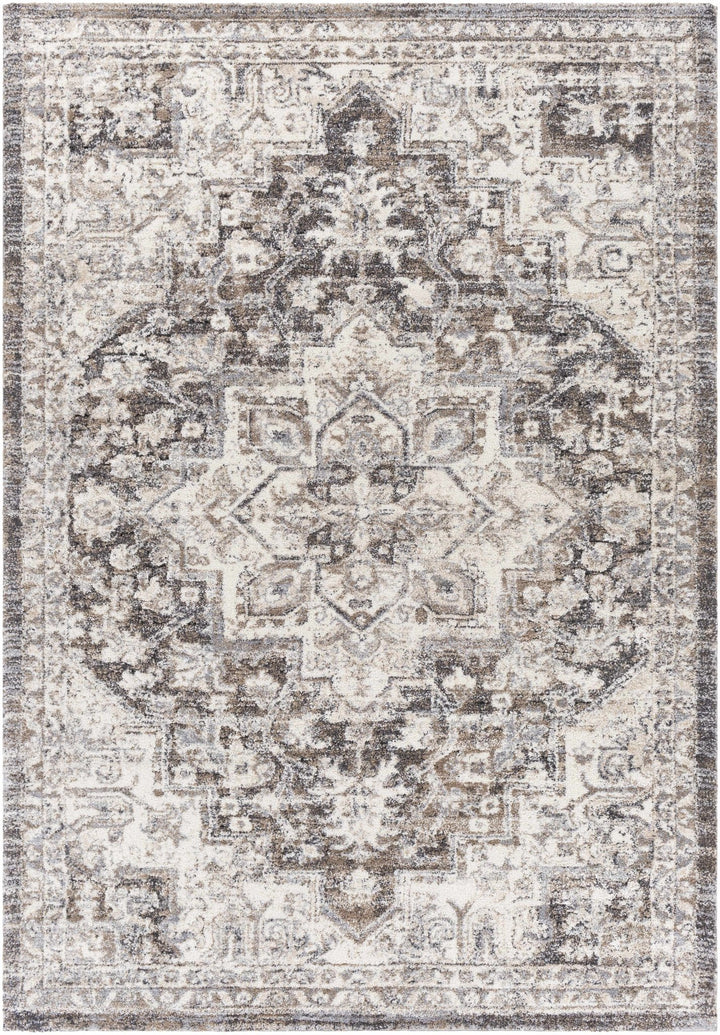 Traditional Gray And Beige Rug - The Rug Decor