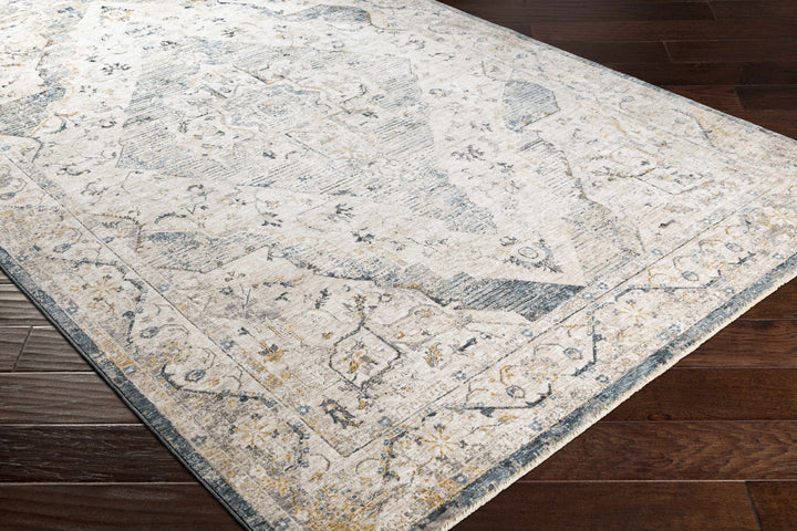 Traditional Medallion Design Beige and Gray Rug - The Rug Decor