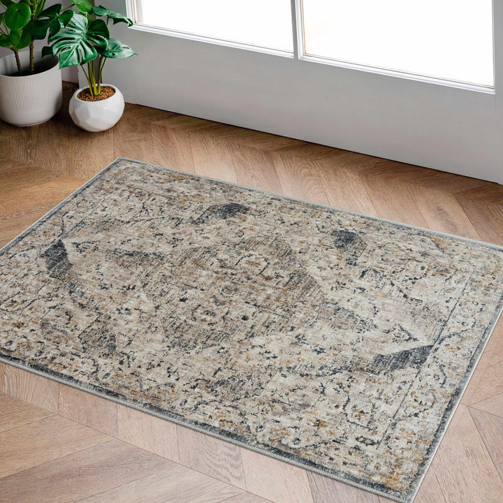 Traditional Medallion Design Beige and Gray Rug - The Rug Decor
