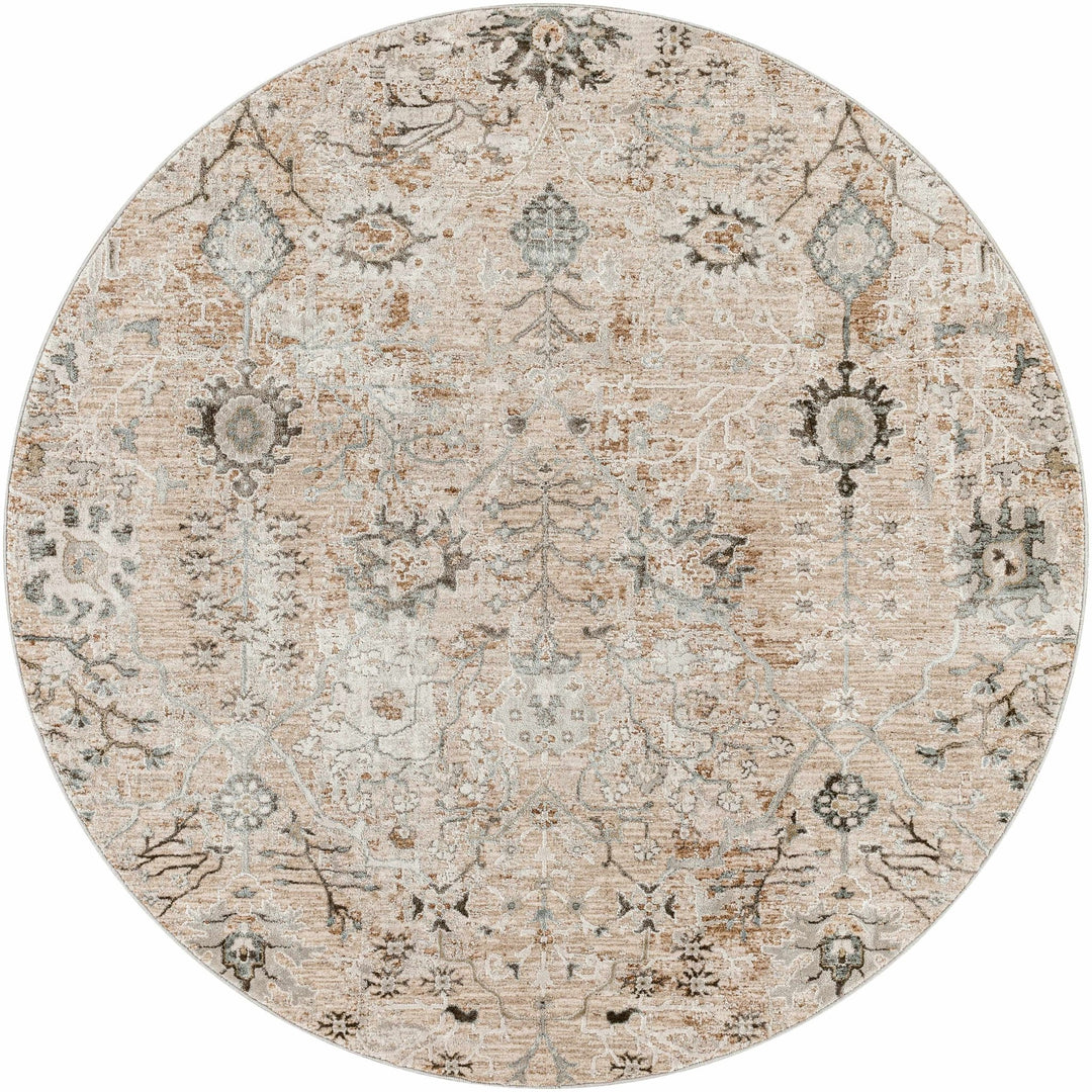 Traditional Oushak Beige Area Rug - The Rug Decor