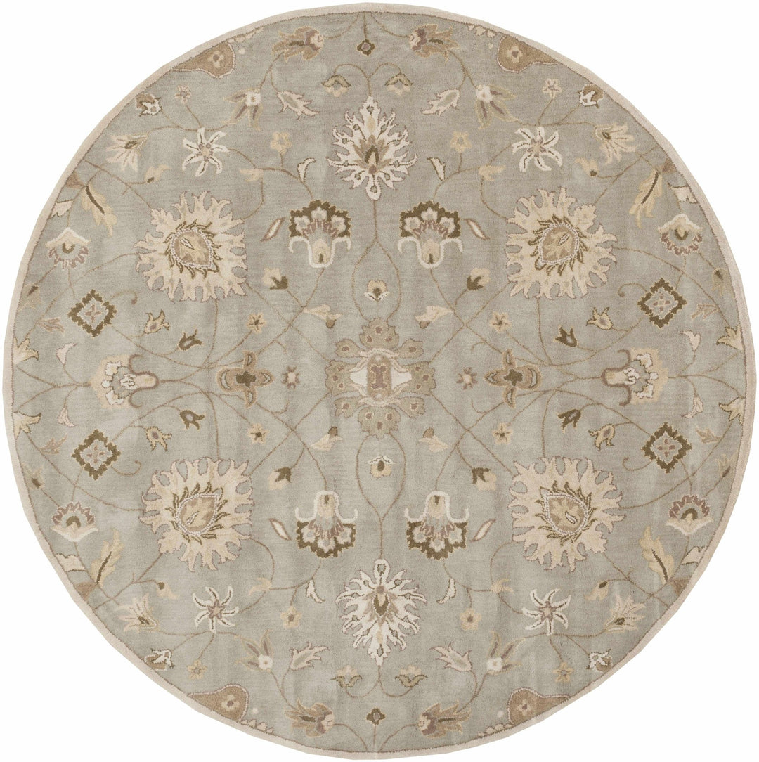Traditional Oushak Taupe, Olive, Ivory and Beige Hand Tufted Multi Size wool Area Rug - The Rug Decor