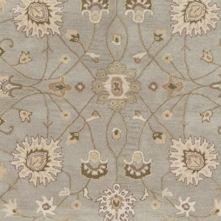 Traditional Oushak Taupe, Olive, Ivory and Beige Hand Tufted Multi Size wool Area Rug - The Rug Decor
