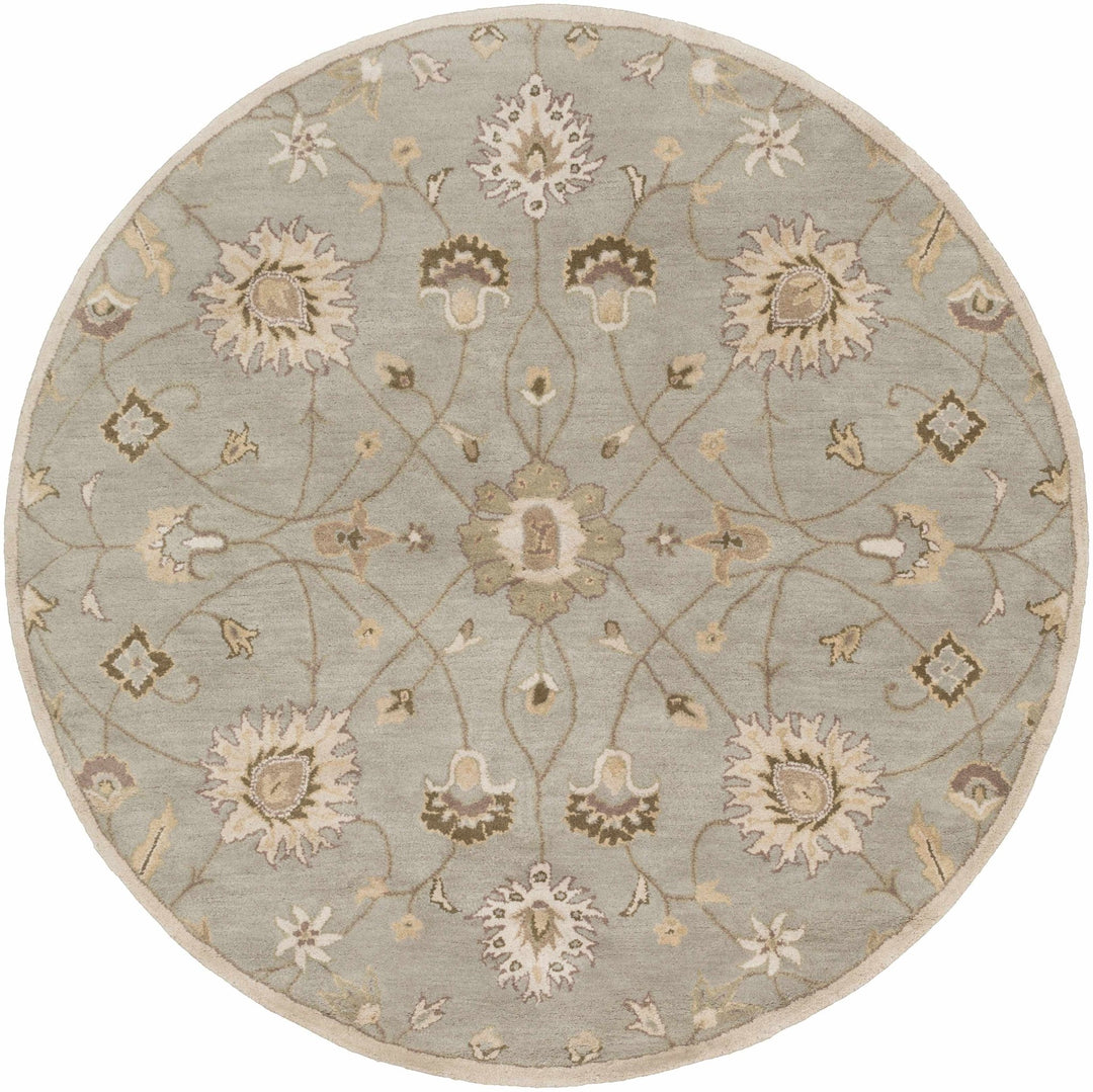 Traditional Oushak Taupe, Olive, Ivory and Beige Hand Tufted Multi Size wool Area Rug - The Rug Decor