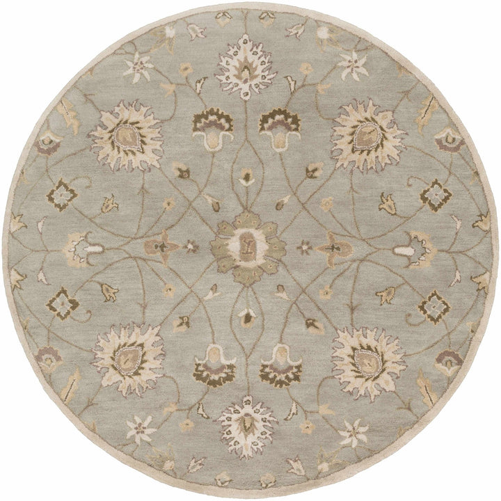 Traditional Oushak Taupe, Olive, Ivory and Beige Hand Tufted Multi Size wool Area Rug - The Rug Decor