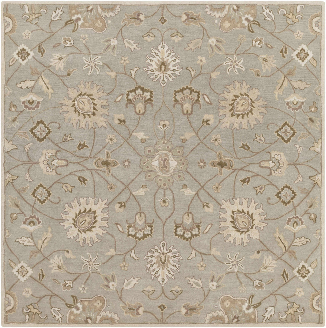 Traditional Oushak Taupe, Olive, Ivory and Beige Hand Tufted Multi Size wool Area Rug - The Rug Decor