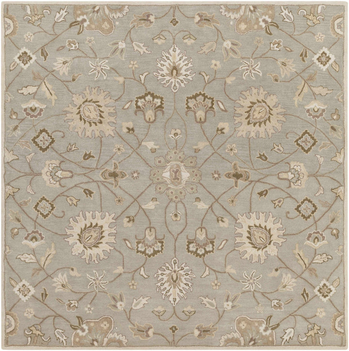 Traditional Oushak Taupe, Olive, Ivory and Beige Hand Tufted Multi Size wool Area Rug - The Rug Decor