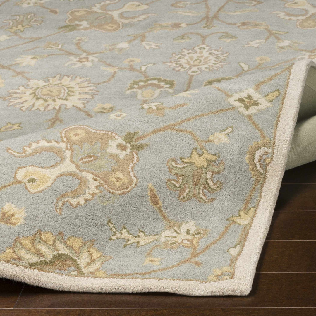 Traditional Oushak Taupe, Olive, Ivory and Beige Hand Tufted Multi Size wool Area Rug - The Rug Decor