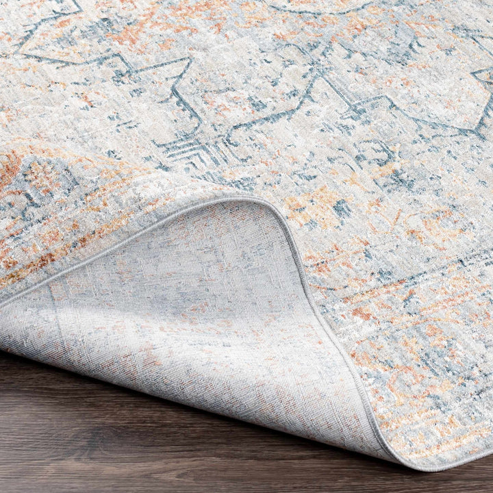 Traditional Style Beige And Gray Rug - The Rug Decor