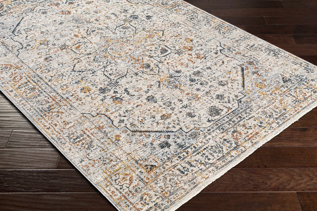 Traditional Style Beige And Gray Rug - The Rug Decor