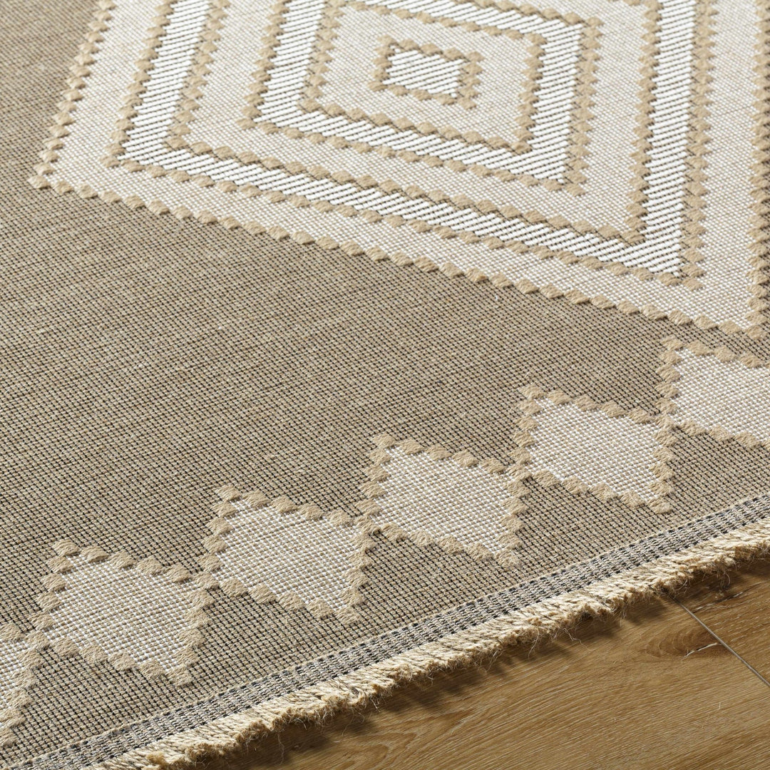 Traditional Style Beige And Tan Jute Rug - The Rug Decor