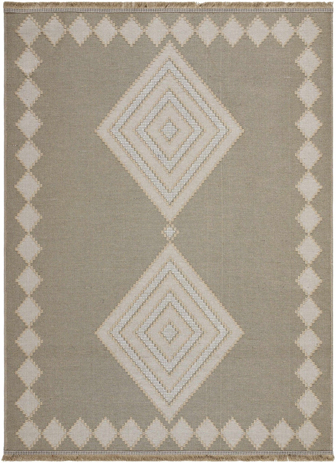 Traditional Style Beige And Tan Jute Rug - The Rug Decor