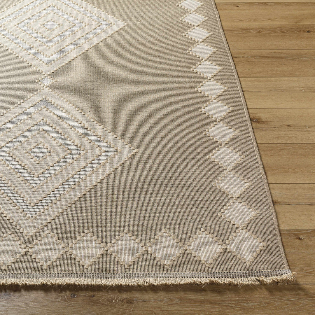 Traditional Style Beige And Tan Jute Rug - The Rug Decor