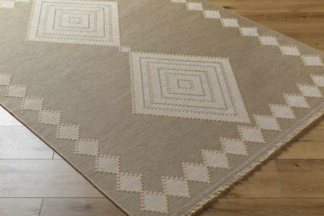 Traditional Style Beige And Tan Jute Rug - The Rug Decor