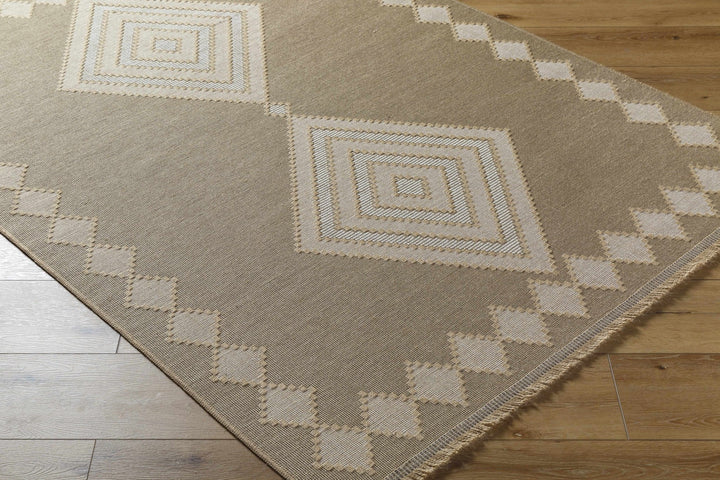 Traditional Style Beige And Tan Jute Rug - The Rug Decor