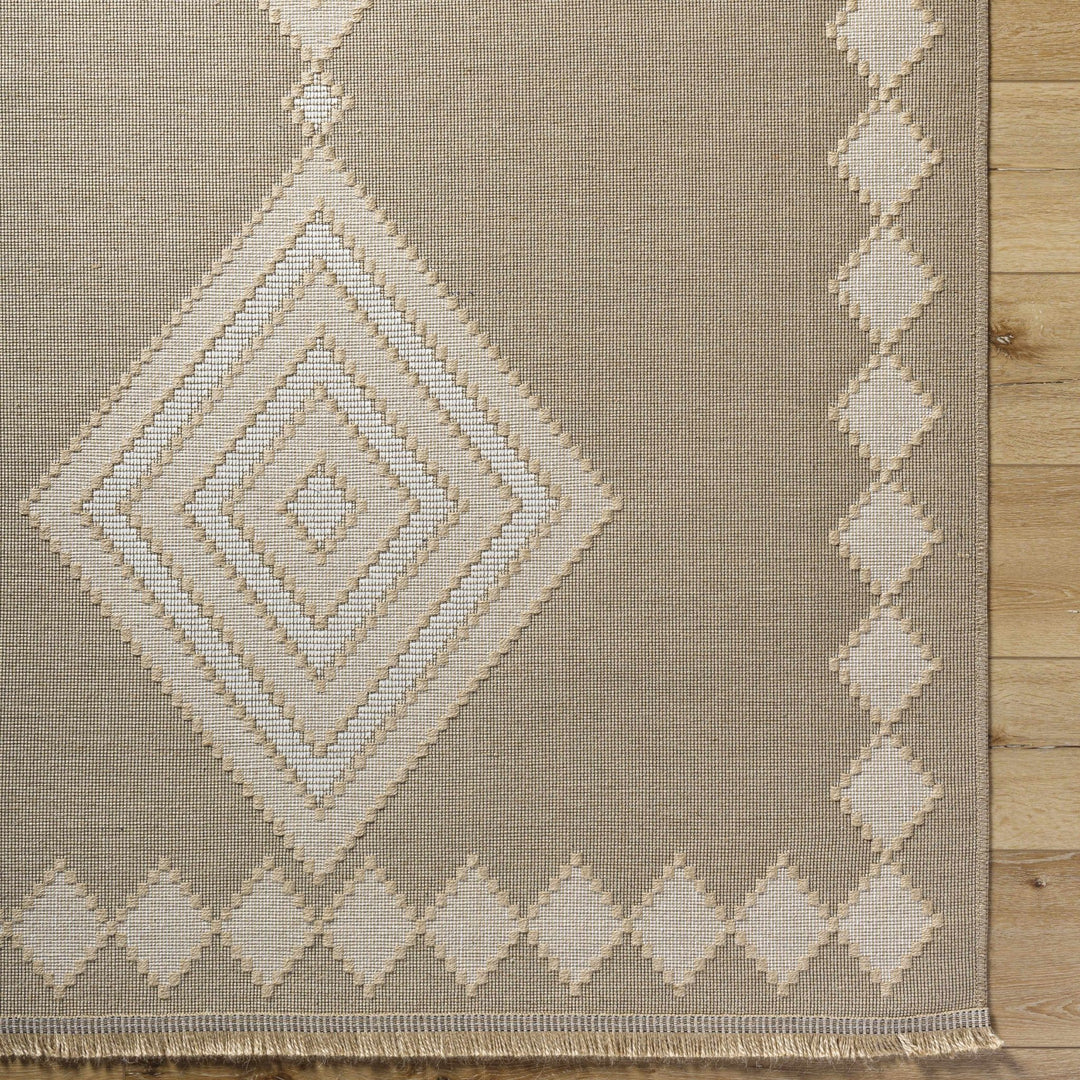 Traditional Style Beige And Tan Jute Rug - The Rug Decor