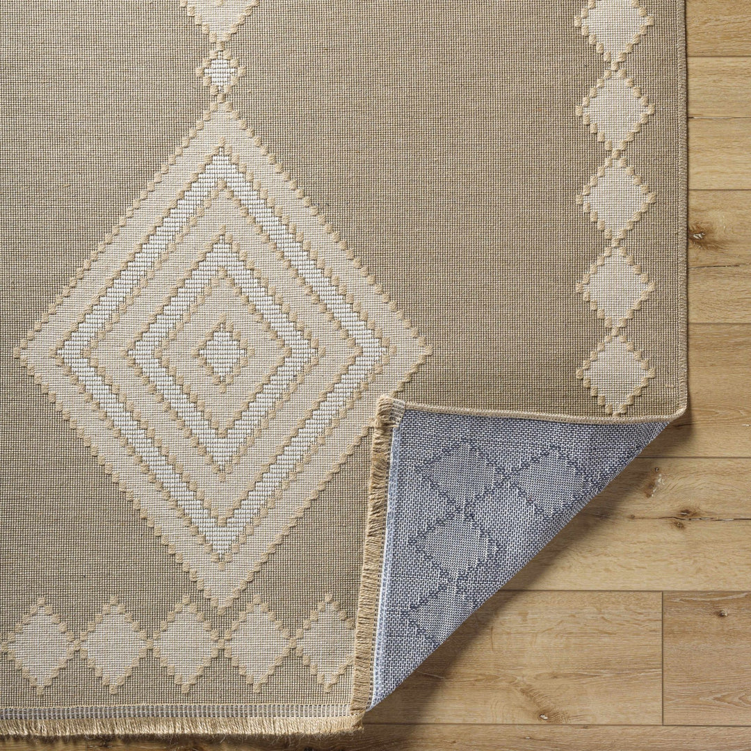 Traditional Style Beige And Tan Jute Rug - The Rug Decor